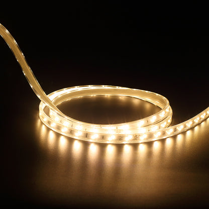 Huasha Series High Voltage Light Strip