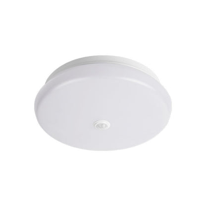 ceiling light